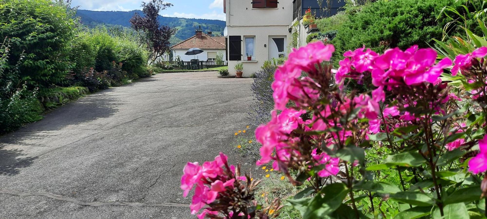 Plain-Pied Proche Base De Loisirs Et Voie Verte Saulxures-sur-Moselotte Exterior photo
